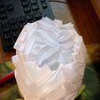 0124d.jpg Lamp Shade 0124