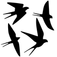 hirondelles-3.png Schwalbe fliegender Vogel