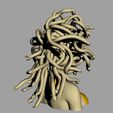 large (2).jpg Medusa