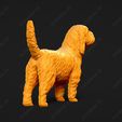 1029-Basset_Griffon_Vendeen_Petit_Pose_03.jpg Basset Griffon Vendeen Petit Dog 3D Print Model Pose 03