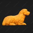 3934-Clumber_Spaniel_Pose_09.jpg Clumber Spaniel Dog 3D Print Model Pose 09