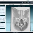 paras.JPG Fox Face - Patrick Seymour