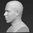 drake-bust-ready-for-full-color-3d-printing-3d-model-obj-mtl-stl-wrl-wrz (24).jpg Drake bust 3D printing ready stl obj