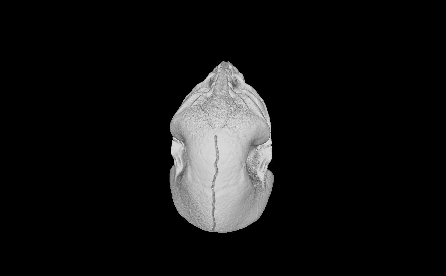 OBJ file Saurian Skull・3D printing design to download • Cults