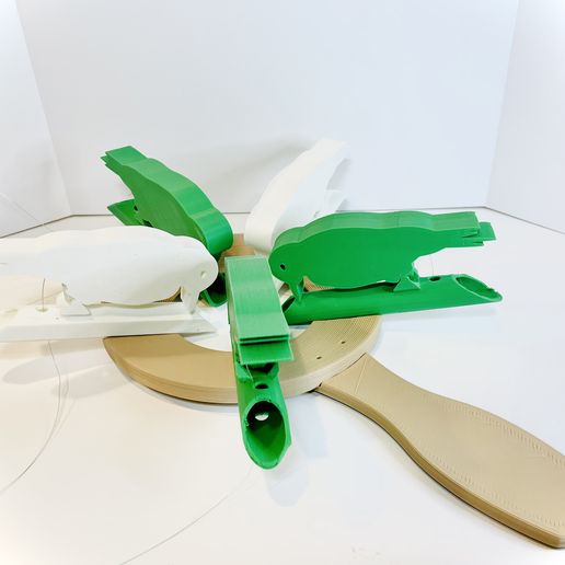 ——__ Pica-paus num remo