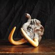 1.JPG Archivo OBJ Busto de mamut・Diseño para descargar y imprimir en 3D