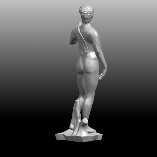 05.png Michelangelo 01