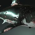 04y.jpg SHARK, DOWNLOAD Shark 3D modeL - Animated for Blender-fbx-unity-maya-unreal-c4d-3ds max - 3D printing SHARK SHARK FISH - TERROR  - PREDATOR - PREY - POKÉMON - DINOSAUR - RAPTOR