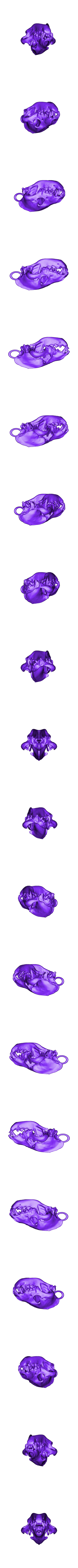 file_9ab879cc8722cae094a5cc78bf7f08c1_3673.stl Hyena Skull Pendant with Loop