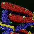 0032.png Chromosome genetic recombination blender 3d