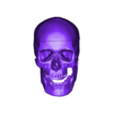 OBJ together-skull.obj 3D Human Skull - Cap, Mandible