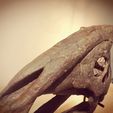 IMG_20201201_165056.jpg Dinosaurier-Schädel - Parasaurolophus