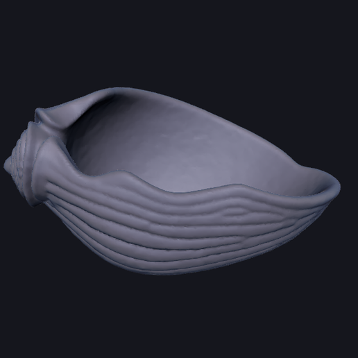 Free STL file A Simple Shell 🐚 ・3D printer model to download・Cults