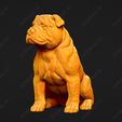 2969-Bulldog_Pose_06.jpg Bulldog Dog 3D Print Model Pose 06