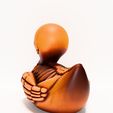 0010.jpg Duck Minimalist Skeletal toy