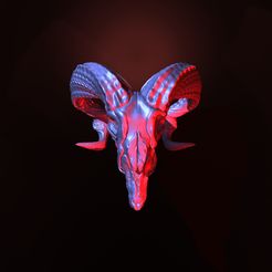 5.jpg Archivo STL printready cráneo de cabra・Plan para descargar y imprimir en 3D