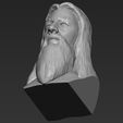 21.jpg Dumbledore from Harry Potter bust 3D printing ready stl obj