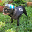 helmet.png Dog Tactical Helmet