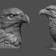 1.jpg Eagle