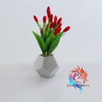 13.png Dado Polyhedron Planters - set of 3