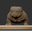 1.png exotic bully micro