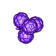 Arbol.stl Animal MICROsing Map