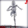 11.jpg 1/6 Scale Action Figure - E.V.A