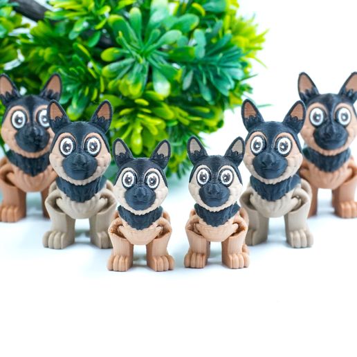 2.jpg LINDO PASTOR ALEMÁN FLEXI DIMINUTO