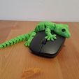 Flexible-gecko-03.jpg Гибкий геккон