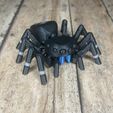 IMG_3019-4.jpg STL file Articulated Jumping Spider _ Print-In-Place Jumping Spider・3D printing design to download