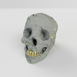 Stone-Skull-with-gold-nuggets-2.png Stone Skull [with gold nuggets]