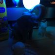 IMG_4207.JPG Elephant playing with ball nightlight