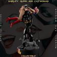 h-10.jpg Harley Quinn and Catwoman - Collecible Edition