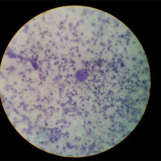 pubIMG_20160913_153657.jpg Universal Smart Phone Microscope Mount Remix