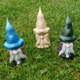 Garden-Gnome-Pic4.jpg Forest Gnome with Stake for Garden, Plant and Planter Boxes