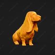 1119-Basset_Hound_Pose_05.jpg Basset Hound Dog 3D Print Model Pose 05