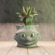 1 cat alicia.jpg Cat cheshire planter