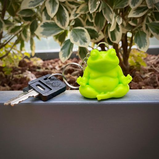123.jpeg 🔑⛓️🐸🧘🏼‍♀️ ¡NAMASTE del ESTANQUE!