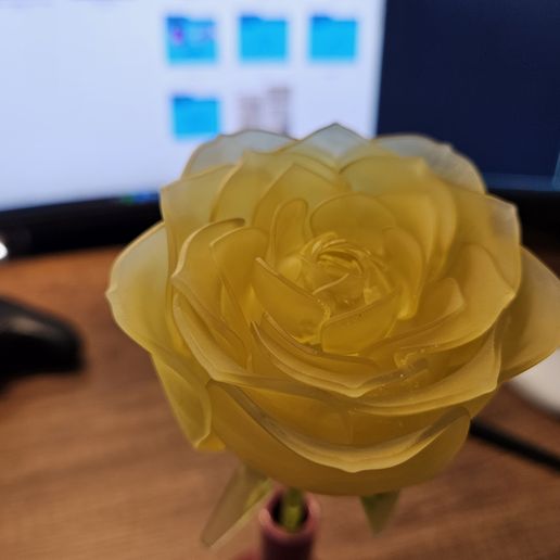 ROSE Mechanised Articulated Flower