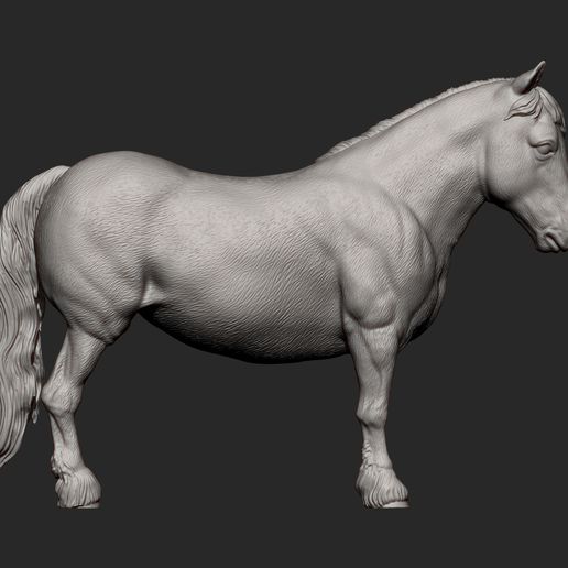 pony14.jpg Modelo de impresión 3D de poni