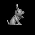 4.jpg Little Dog - Frenchy