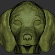 21.jpg Puppy of Dachshund dog head for 3D printing