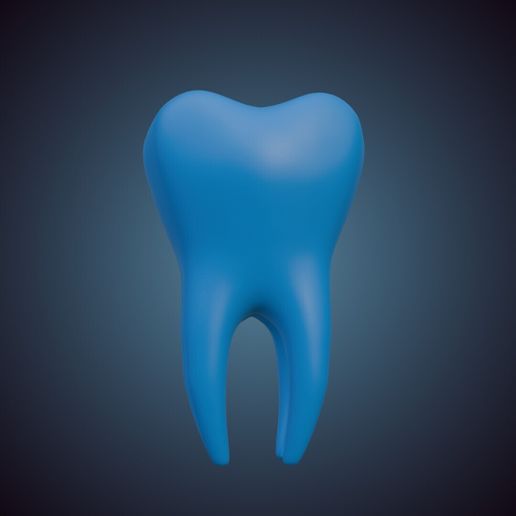 🦷 Tooth・Free STL File for 3D printing・Cults