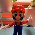 Mario de los juegos de Mario - Multi-color, raboulie