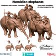 Numidian-elephant-1.jpg Numidian Elephant - 15mm for Epic History Battle