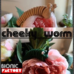 start-logo.jpg cheeky worm