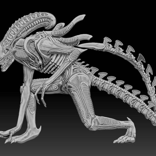 131896735_684387505580623_8552454644559450797_o.jpg Warrior Alien