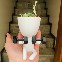 IMG-1740.jpg Файл STL РОБЕРТ ПЕЗАС・Дизайн 3D-печати для загрузки3D