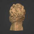 I11.jpg Low Poly Lion Bust