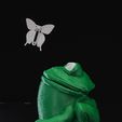 DSC08131.jpg Butterflies in Frog’s Stomach